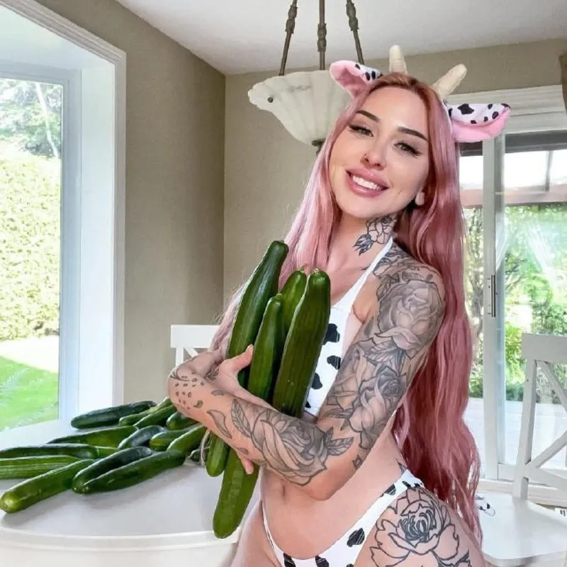 Misslavoie Cosplay Archive — free download